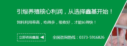 鄭州后備豬料哪家好
